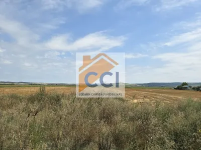 Teren intravilan– 50.000 mp, Bacău, Șoseaua Hol - foto 3