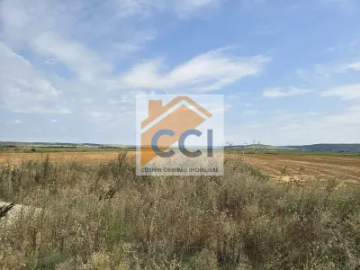 Teren intravilan– 50.000 mp, Bacău, Șoseaua Hol - foto 4