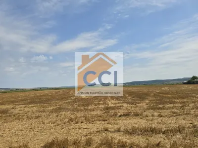Teren intravilan– 50.000 mp, Bacău, Șoseaua Hol - foto 5