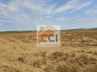 Teren intravilan– 50.000 mp, Bacău, Șoseaua Hol - foto 6