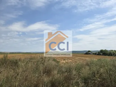 Teren intravilan– 50.000 mp, Bacău, Șoseaua Hol - foto 7