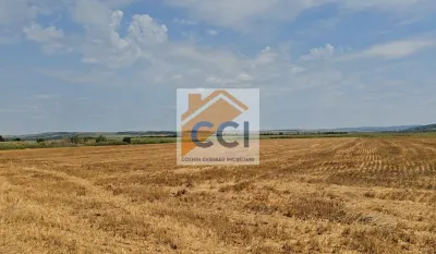 Teren intravilan– 50.000 mp, Bacău, Șoseaua Hol - foto 8