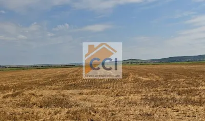 Teren intravilan– 50.000 mp, Bacău, Șoseaua Hol - foto 9