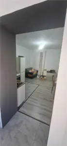 Decomandat 2 Camere / Curte Comuna cu Loc de Parcare / Zona Traian - foto 14
