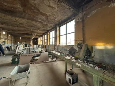 BERZOVIA, OPORTUNITATE SAU INVESTITIE.!!!..Teren cu 4 Hale, la Drumul National - foto 7