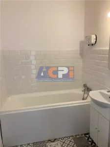 APARTAMENT 2 CAMERE DE INCHIRIAT - CANTEMIR / TINERETULUI - foto 11