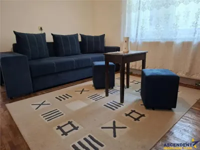 Apartament 2 camere, intr-o zona cu pomi seculari si parcuri, cartierul Astra, Brasov - foto 8