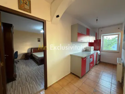 Garsonieră spațioasă de închiriat în Mioveni – zona Robea - foto 8