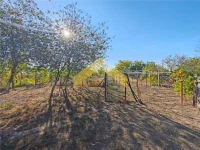 Casa la sol de vanzare in Bodrogu Nou - foto 14