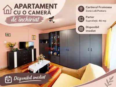 Apartament cu o camera de inchiriat in Frumoasa - Iasi