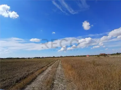 RECO Teren intravilan Tileagd 577 MP - foto 9