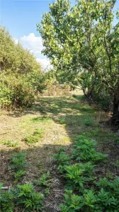 RECO Casa in Husasau de Tinca - foto 12