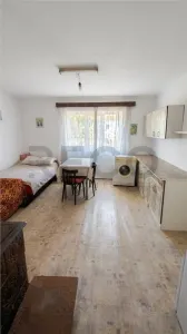RECO Casa in Husasau de Tinca - foto 23