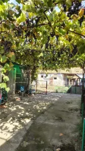 RECO Casa in Husasau de Tinca - foto 4
