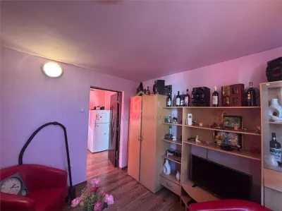 Casa de vanzare cu 13 Ar de teren Miron Costin - foto 11