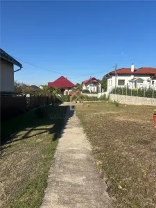 Casa de vanzare cu 13 Ar de teren Miron Costin - foto 12