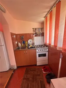Casa de vanzare cu 13 Ar de teren Miron Costin - foto 6
