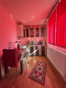 Casa de vanzare cu 13 Ar de teren Miron Costin - foto 7