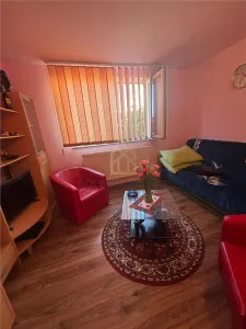 Casa de vanzare cu 13 Ar de teren Miron Costin - foto 8