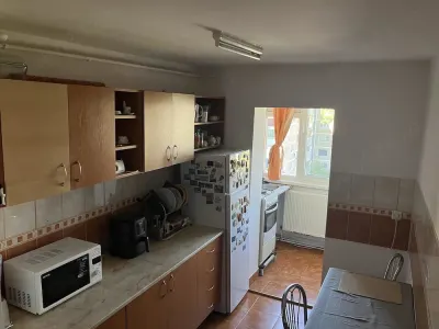 Decomandat, amenajat complet linga Piata Verde - Timisoara