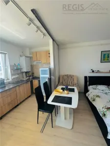 Apartament de inchiriat cu o cameră open space - foto 3