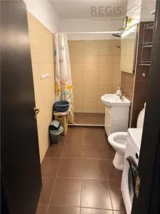 Apartament de inchiriat cu o cameră open space - foto 5