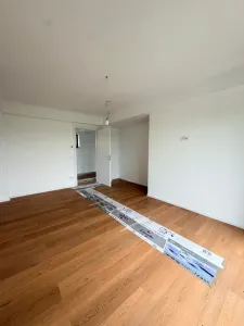 Vile Individuale Noi 4 camere Snagov Ghermanesti - foto 15