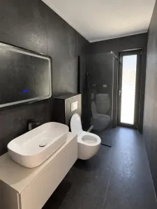 Vile Individuale Noi 4 camere Snagov Ghermanesti - foto 21
