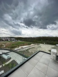Apartament 4 Camere Jandarmeriei The Ivy Residence - foto 17