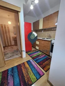 Apartament cu 1 camera, 38 mp, etaj 1 in Marasti ! - foto 3