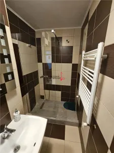 Titan Basarabia Metrou Costin Georgian gata de mutat - foto 6