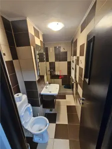 Titan Basarabia Metrou Costin Georgian gata de mutat - foto 7