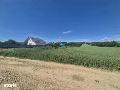 Teren 8000mp de vanzare Crihan Magura - foto 3