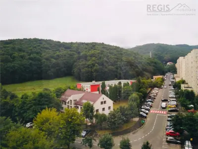 Apartament 4 camere  | 2 bai | Vedere spre munte | Racadau - foto 10