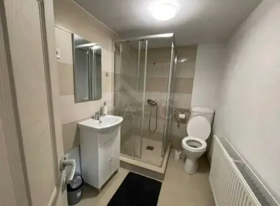 Vand sau schimb casa Campu Cetatii din caramida si lemn - foto 8