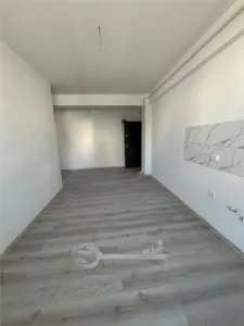 Ap. 2 camere, open-space, Hlincea-Manta Rosie, intabulat, 0% comision - foto 3