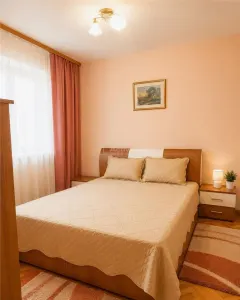 Oras Ulmeni Apartament 3 Camere Etaj 1 cu garaj si boxa - foto 3