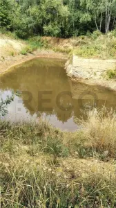 RECO teren generos intravilan Sinteu - foto 2