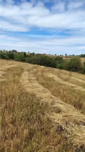 RECO teren generos intravilan Sinteu - foto 4