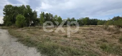Teren intravilan 1.589 mp în Priseaca – Lângă Complex Daso Cado | Oportunitate - Priseaca