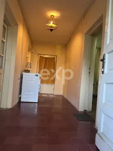 Casa pe parter 3 camere ingrijita curte si gradina Gaesti Nord - foto 25