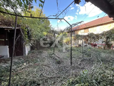 Casa pe parter 3 camere ingrijita curte si gradina Gaesti Nord - foto 28