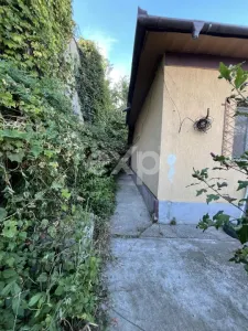 Casa pe parter 3 camere ingrijita curte si gradina Gaesti Nord - foto 29