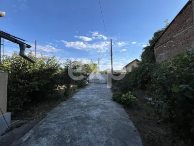 Casa pe parter 3 camere ingrijita curte si gradina Gaesti Nord - foto 30