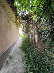 Casa pe parter 3 camere ingrijita curte si gradina Gaesti Nord - foto 4