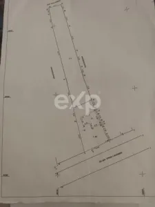 Casa pe parter 3 camere ingrijita curte si gradina Gaesti Nord - foto 35