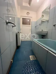 Casa pe parter 3 camere ingrijita curte si gradina Gaesti Nord - foto 10