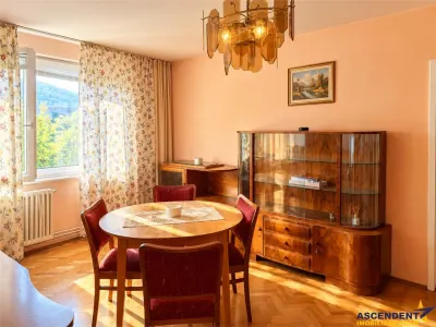 Pet friendly! Apartament doua camere, Bulevardul Victoriei, Brasov - foto 7