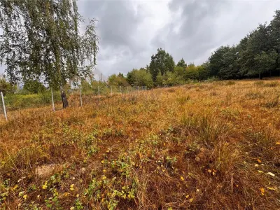 Teren intravilan, 12 ari, str. Murelor cu acces din str. Dumbravei, Baia Mare - Grosi