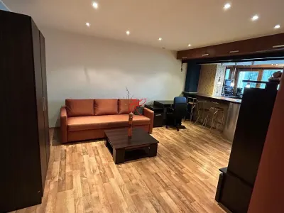 Inchiriere apartament 2 camere Uniri - foto 4